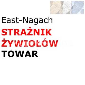 E TOWAR na STRAŻNIK ŻYWIOŁÓW FOE East-Nagach FORGE OF EMPIRES