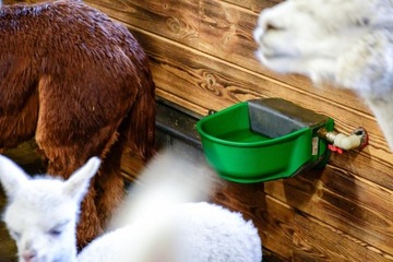 ПОДОГРЕВ ПОПЛАВКА ВОДЫ - С КЛАПАНОМ ДЛЯ КРС ЛОШАДЕЙ 73ВТ/230В ВЫСОКОЕ КАЧЕСТВО!