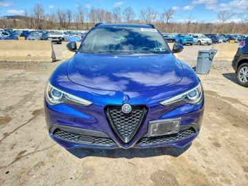 Alfa Romeo Stelvio SUV Facelifting 2.0 Turbo 280KM 2020 Alfa Romeo Stelvio 2020 ALFA ROMEO STELVIO TI 2.0 Benzyna 280KM, zdjęcie 1