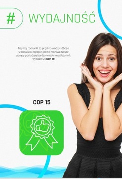 Полностью инверторный тепловой насос для бассейна ProEnergy PE8
