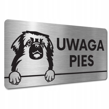 TABLICZKA UWAGA GROŹNY PIES ZŁY Spaniel tybetański TABLICZKA UWAGA ZŁY PIES