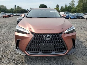 Lexus NX II 2025 Lexus NX 350H Base 2025 2.5l 2.5 Hybryda 240KM, zdjęcie 5