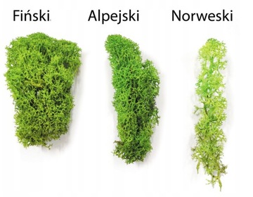 Финский крабовый мох Forest Green 50г НЕТТО