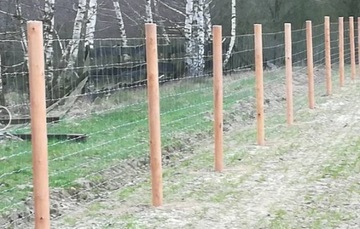 Скобы монтажные для лесной сетки 2,5х25мм 100 шт.