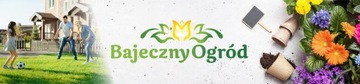 CHLOR SZOK DO BASENU GRANULAT CHEMIA BASENOWA 0,4kg CHLORTIX GOTIX