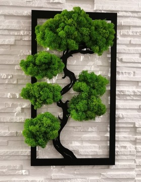 Дерево бонсай со мхом, красивый прямоугольный мох, 40х24.