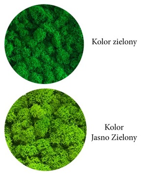 КАРТИНА МОХ БОНСАЙ МОХ ЦЕЛЛИУМ ЖИВАЯ КАРТИНА ДЕРЕВО ЖИЗНИ В ПОДАРОК ​​50х40