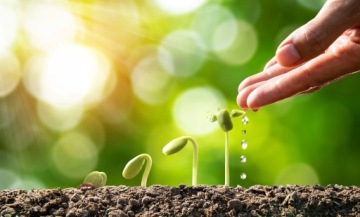 УНИВЕРСАЛЬНЫЙ ГРУНТ ДЛЯ ЦВЕТОВ БИОВИТА 80л