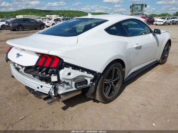 Ford Mustang VI 2024 Ford Mustang Ecoboost Fastback 2024 2.3l 2.3 Benzyna 315KM, zdjęcie 5