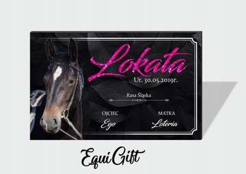 Tabliczka na boks Twojego konia ze zdjęciem