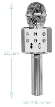 BEZPRZEWODOWY MIKROFON DLA DZIECI ZESTAW DO KARAOKE BLUETOOTH ETUI USB