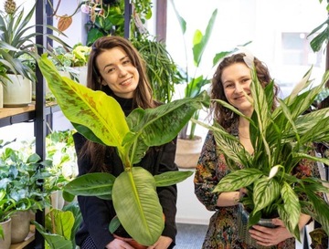 Керамзит для гидропонного выращивания.