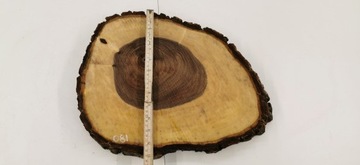 Срез грецкого ореха после высыхания 39х30см Столешница