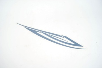 NAKLEJKA 2 OSŁONY PRAWEJ KYMCO NEXXON 50