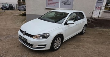 Volkswagen Golf VII Hatchback 3d 1.2 TSI 105KM 2013 Volkswagen Golf 1,2 benzyna 105 KM NAVI klimat..., zdjęcie 1