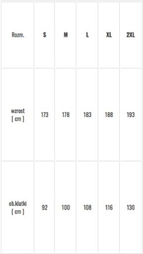 МУЖСКАЯ ФУТБОЛКА NIKE THERMOACTIVE DRY FIRST, размер XL