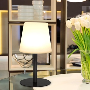 ДЕКОРАТИВНАЯ RGB СВЕТОДИОДНАЯ НАСТОЛЬНАЯ ЛАМПА