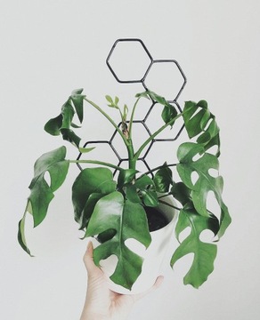 Podpórka do roślin drabinka podpora metal czarna