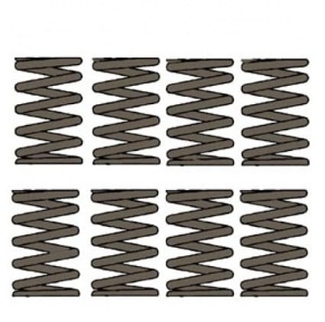 PARUZZI 001569P PRUŽINY VENTILU STANDARD