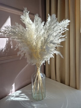 Пампасная трава, сушеная, декоративная, белая, маленькая, для вазы Dry Grasses