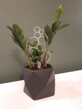 ПОДСТАВКА ДЛЯ ЦВЕТОВ, ЛЕСТНИЦА ДЛЯ РАСТЕНИЙ, ПЕРГОЛА