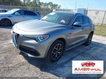 Alfa Romeo Stelvio SUV Facelifting 2.0 Turbo 280KM 2020 Alfa Romeo Stelvio TI AWD, 280km 2.0 Benzyna 280KM