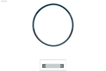 ПРОКЛАДКА ТЕРМОСТАТА EPS