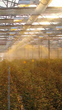 Насадка для систем увлажнения зала 0,20 мм 10/24 UNC