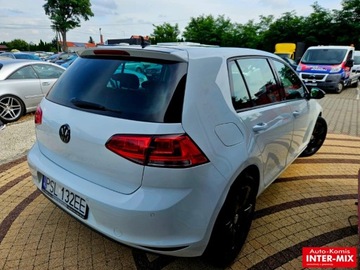 Volkswagen Golf VII Hatchback 3d 1.6 TDI-CR DPF 105KM 2013 Volkswagen Golf Hatchback zarejestrowany niski przebieg nawigacja 1.6 105KM, zdjęcie 2