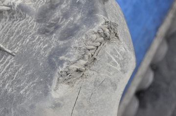 SCENIC III WANNA KOŁA ZAPASOWEGO 8200890248