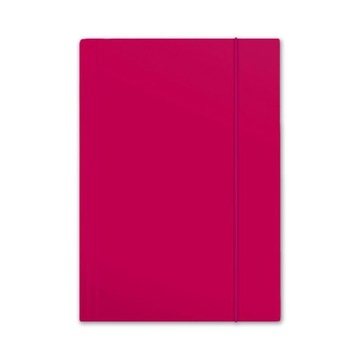 ТРАНСЛЯЦИЯ С ЛАСТИКОМ А4 ПЛЮС ТОП РОЗОВЫЙ