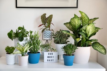 Donica Osłonka MAGNOLIA JUMPER śr. 11cm kol. MUSZTARDOWY