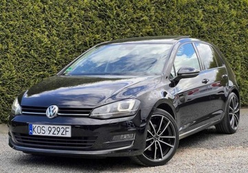 Volkswagen Golf VII Hatchback 3d 2.0 TDI-CR DPF 150KM 2014 Volkswagen Golf Volkswagen Golf VII 2.0 TDI 15...