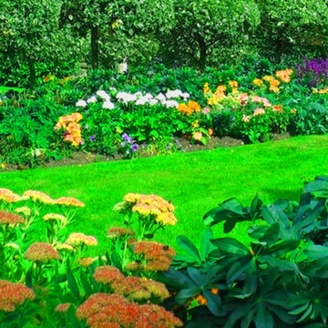 BARENBRUG BarFertile удобрение для весеннего газона SPRING Spring 5 кг на 250м2