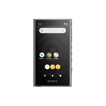 Sony Sony NW-A306 Walkman Przenośny odtwarzacz audio z serii A 32 GB, czarn