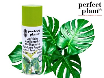 NABŁYSZCZACZ DO ŻYWYCH KWIATÓW I LIŚCI SPRAY 200ml