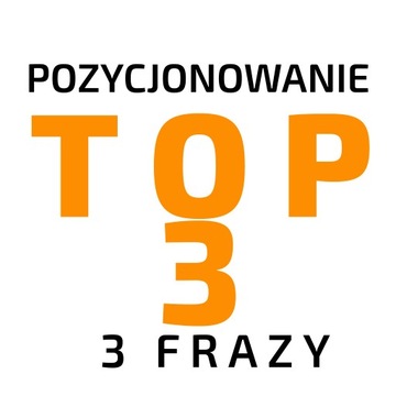 ROCZNE POZYCJONOWANIE 3 fraz do TOP 3