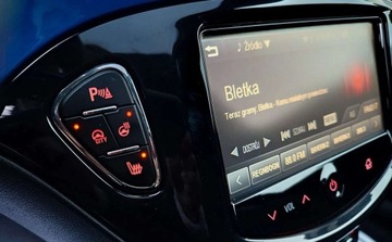 Opel Adam 2015 Opel Adam Filmik VIDEO Bardzo Zadbany FULL OPCJA Sam Zobacz 1.4 Benzyna, zdjęcie 10