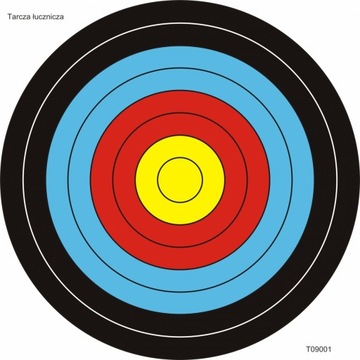 Tarcza łucznicza papierowa, treningowa 50x50cm