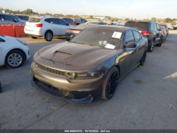 Dodge Charger VII 2019 Dodge Charger Dodge Charger Scat Pack 6.4 Benzyna 485KM, zdjęcie 2