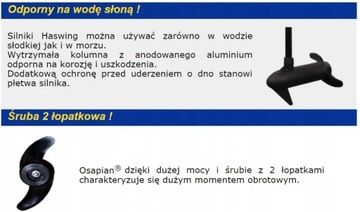 ЭлектроМОТОР для понтона Haswing OSAPIAN 40!