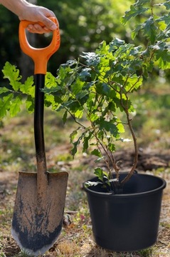 ВЕДРО СТРОИТЕЛЬНОЕ ЭКОНОМИЧНОЕ САДОВОЕ 20 Л 20 Л ПРОЧНОЕ С ПЛАСТИКОВОЙ ВОРОНКОЙ