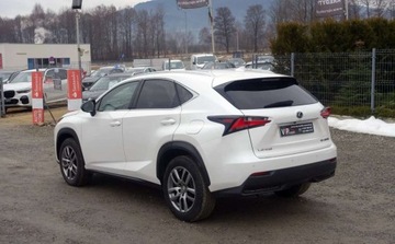 Lexus NX I SUV 300h 197KM 2014 Lexus NX 300h 197KM Hybryda 4x4 Automat Skora Grzane fotele Navi Biala per, zdjęcie 4