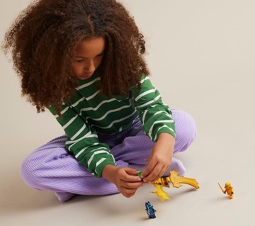 LEGO NINJAGO 71803 АТАКА ВОСХАЮЩЕГО ДРАКОНА АРИНА