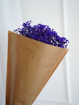 GIPSÓWKA FIOLETOWA SUSZONA STABILIZOWANA NIE WIĘDNIE WIECZNA BUKIET