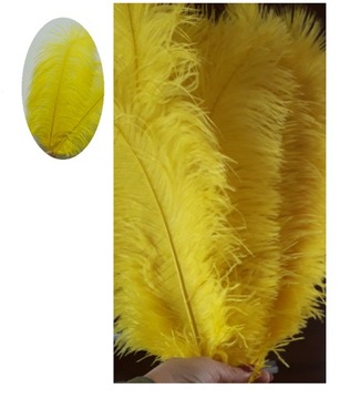 Strusie pióro żółte 45-50 CM