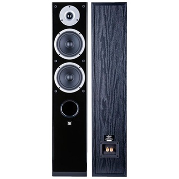 WILSON RAPTOR 5 НАПОЛЬНЫЕ HI-FI КОЛОНКИ