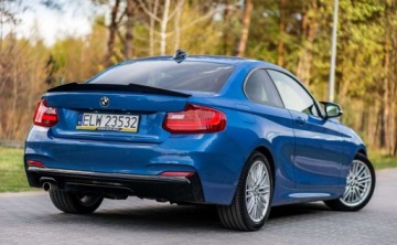 BMW Seria 2 F22-F23-F45-F46 Coupe 220d 184KM 2013 BMW Seria 2 BMW Seria 2 2.0 Diesel 184KM, zdjęcie 2