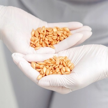 НАБОР НАГРЕВАТЕЛЯ НАГРЕВАТЕЛЬНОЙ ШПАТЕЛИ ДЛЯ ТВЕРДОГО ВОСКОВОГО ВОСКА