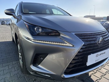Lexus NX I SUV Facelifting 300h 197KM 2018 Lexus NX 300h Comfort AWD I (2014-2021) NX300h Com, zdjęcie 11